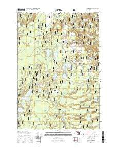 Gooseneck Lake Michigan Current topographic map, 1:24000 scale, 7.5 X 7.5 Minute, Year 2017