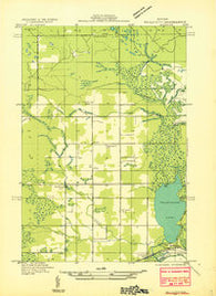 Gould City NE Michigan Historical topographic map, 1:31680 scale, 7.5 X 7.5 Minute, Year 1931