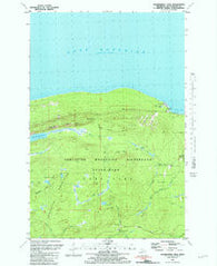 Government Peak Michigan Historical topographic map, 1:24000 scale, 7.5 X 7.5 Minute, Year 1981