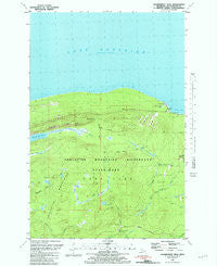Government Peak Michigan Historical topographic map, 1:24000 scale, 7.5 X 7.5 Minute, Year 1981
