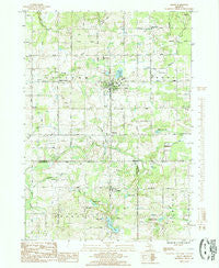 Grant Michigan Historical topographic map, 1:24000 scale, 7.5 X 7.5 Minute, Year 1985