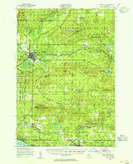 Grayling Michigan Historical topographic map, 1:62500 scale, 15 X 15 Minute, Year 1949
