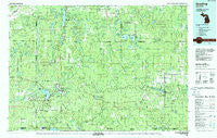 Grayling Michigan Historical topographic map, 1:100000 scale, 30 X 60 Minute, Year 1983