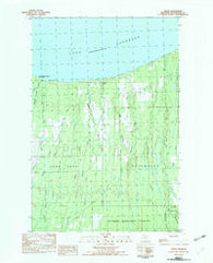 Green Michigan Historical topographic map, 1:25000 scale, 7.5 X 7.5 Minute, Year 1982