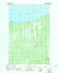 Green Michigan Historical topographic map, 1:25000 scale, 7.5 X 7.5 Minute, Year 1982