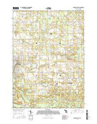 Greenville East Michigan Current topographic map, 1:24000 scale, 7.5 X 7.5 Minute, Year 2017