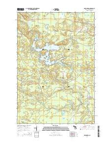 Greenwood Michigan Historical topographic map, 1:24000 scale, 7.5 X 7.5 Minute, Year 2014