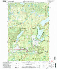 Hagerman Lake Michigan Historical topographic map, 1:24000 scale, 7.5 X 7.5 Minute, Year 1999