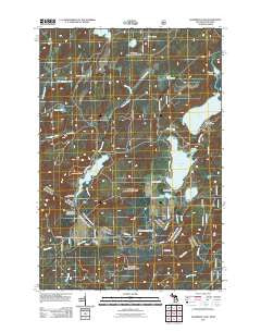 Hagerman Lake Michigan Historical topographic map, 1:24000 scale, 7.5 X 7.5 Minute, Year 2011