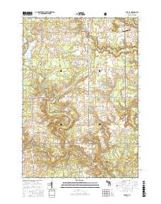 Hale SE Michigan Current topographic map, 1:24000 scale, 7.5 X 7.5 Minute, Year 2016