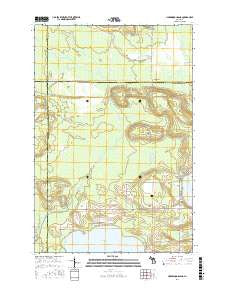 Hardwood Island Michigan Current topographic map, 1:24000 scale, 7.5 X 7.5 Minute, Year 2017