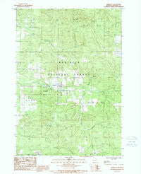 Harrietta Michigan Historical topographic map, 1:24000 scale, 7.5 X 7.5 Minute, Year 1987