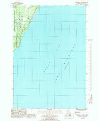 Henderson Lakes Michigan Historical topographic map, 1:24000 scale, 7.5 X 7.5 Minute, Year 1985