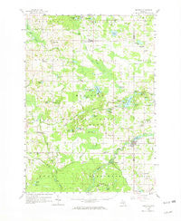 Hesperia Michigan Historical topographic map, 1:62500 scale, 15 X 15 Minute, Year 1958