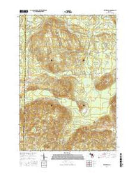 Hetherton Michigan Current topographic map, 1:24000 scale, 7.5 X 7.5 Minute, Year 2017