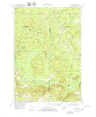 Hetherton Michigan Historical topographic map, 1:62500 scale, 15 X 15 Minute, Year 1954