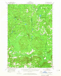 Hetherton Michigan Historical topographic map, 1:62500 scale, 15 X 15 Minute, Year 1954