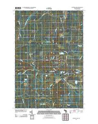 Hickman Lake Michigan Historical topographic map, 1:24000 scale, 7.5 X 7.5 Minute, Year 2011