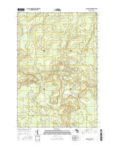 Hickman Lake Michigan Current topographic map, 1:24000 scale, 7.5 X 7.5 Minute, Year 2017