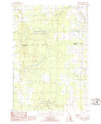 Hillman NE Michigan Historical topographic map, 1:24000 scale, 7.5 X 7.5 Minute, Year 1986