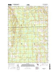 Hillman NE Michigan Current topographic map, 1:24000 scale, 7.5 X 7.5 Minute, Year 2016