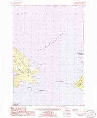 Hog Island West Michigan Historical topographic map, 1:24000 scale, 7.5 X 7.5 Minute, Year 1986