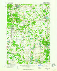 Howard City Michigan Historical topographic map, 1:62500 scale, 15 X 15 Minute, Year 1959