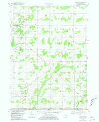 Hoytville Michigan Historical topographic map, 1:24000 scale, 7.5 X 7.5 Minute, Year 1980