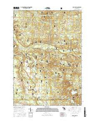 Island Lake Michigan Current topographic map, 1:24000 scale, 7.5 X 7.5 Minute, Year 2017