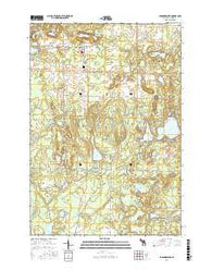 Johannesburg Michigan Current topographic map, 1:24000 scale, 7.5 X 7.5 Minute, Year 2017