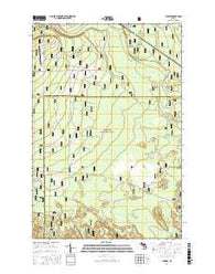 Juniper Michigan Current topographic map, 1:24000 scale, 7.5 X 7.5 Minute, Year 2017