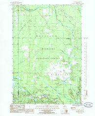 Juniper Michigan Historical topographic map, 1:24000 scale, 7.5 X 7.5 Minute, Year 1985