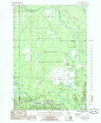 Juniper Michigan Historical topographic map, 1:24000 scale, 7.5 X 7.5 Minute, Year 1985