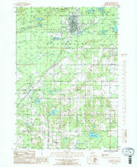 Kalkaska Michigan Historical topographic map, 1:24000 scale, 7.5 X 7.5 Minute, Year 1985