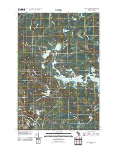 Kelso Junction Michigan Historical topographic map, 1:24000 scale, 7.5 X 7.5 Minute, Year 2011