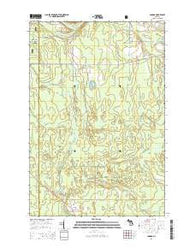 Ladoga Michigan Historical topographic map, 1:24000 scale, 7.5 X 7.5 Minute, Year 2014