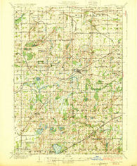 Laingsburg Michigan Historical topographic map, 1:62500 scale, 15 X 15 Minute, Year 1928