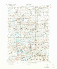 Laingsburg Michigan Historical topographic map, 1:62500 scale, 15 X 15 Minute, Year 1928