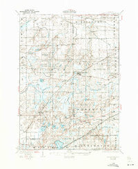 Laingsburg Michigan Historical topographic map, 1:62500 scale, 15 X 15 Minute, Year 1928