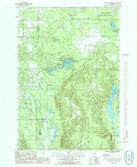 Lake Arrowhead Michigan Historical topographic map, 1:24000 scale, 7.5 X 7.5 Minute, Year 1985