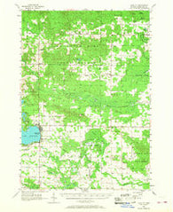 Lake City Michigan Historical topographic map, 1:62500 scale, 15 X 15 Minute, Year 1956