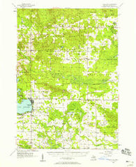 Lake City Michigan Historical topographic map, 1:62500 scale, 15 X 15 Minute, Year 1956