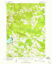 Lake City Michigan Historical topographic map, 1:62500 scale, 15 X 15 Minute, Year 1956