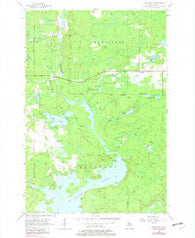 Lake Mary Michigan Historical topographic map, 1:24000 scale, 7.5 X 7.5 Minute, Year 1956