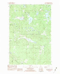 Lake Mitigwaki Michigan Historical topographic map, 1:25000 scale, 7.5 X 7.5 Minute, Year 1982