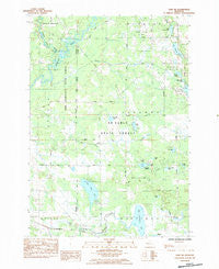 Lake NE Michigan Historical topographic map, 1:25000 scale, 7.5 X 7.5 Minute, Year 1984