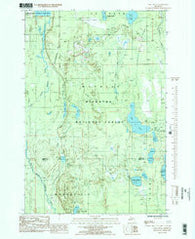 Lake Stella Michigan Historical topographic map, 1:24000 scale, 7.5 X 7.5 Minute, Year 1985