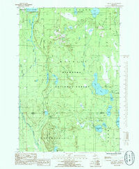 Lake Stella Michigan Historical topographic map, 1:24000 scale, 7.5 X 7.5 Minute, Year 1985