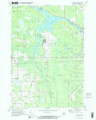 Lake Winyah Michigan Historical topographic map, 1:24000 scale, 7.5 X 7.5 Minute, Year 1971