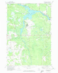 Lake Winyah Michigan Historical topographic map, 1:24000 scale, 7.5 X 7.5 Minute, Year 1971